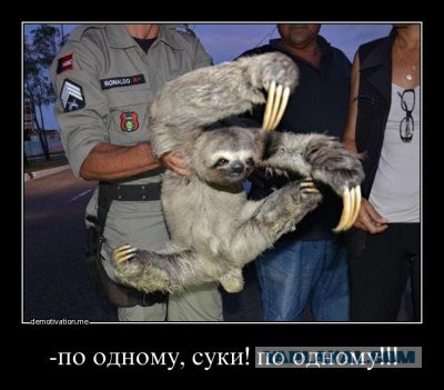 Двойные стандарты в действии