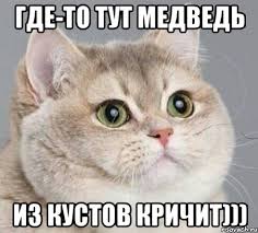 Девчонки учитесь.