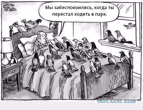 Картинки под пивко