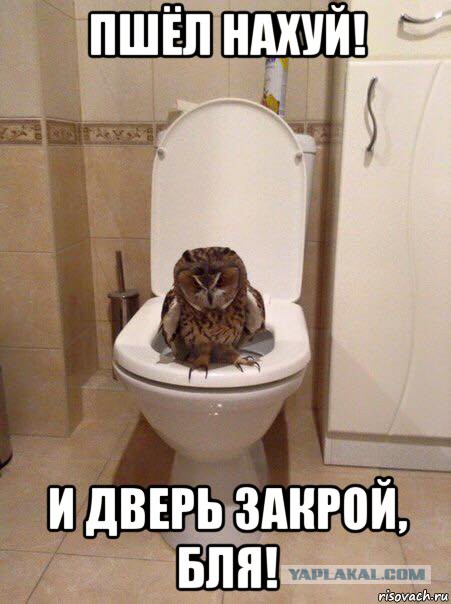 Разные картинки