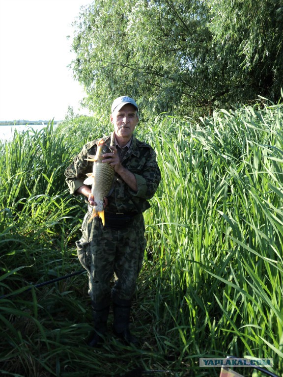 д. Городня