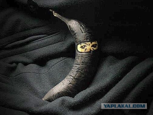 10 самых смертоносных орудий из арсенала ниндзя