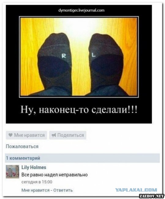Смешные комментарии 08.03.2016