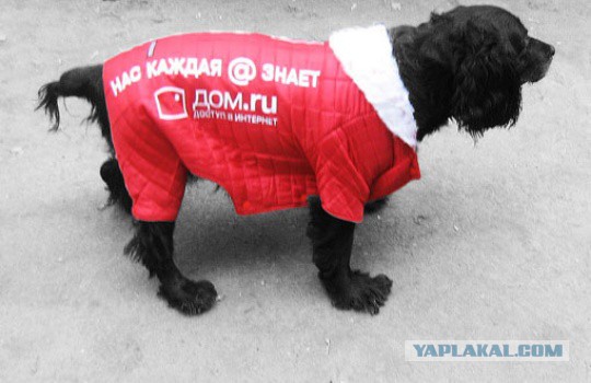 Суровый Волгоградский маркетинг