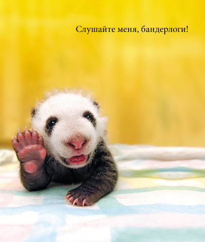 Обалденный позитив!