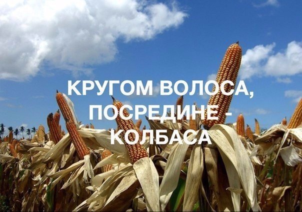 Интересные и веселые картинки