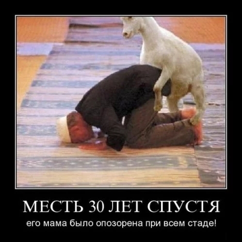 Немного картинок и гифок для пятничного настроения.