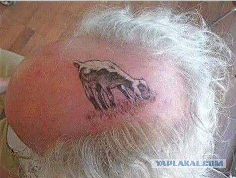 Картинки и гифки для маленькой пятницы