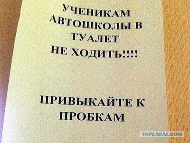 Смешные комментарии из социальных сетей 09.12.2016