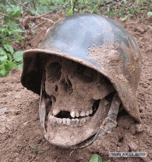 Череп в военной каске