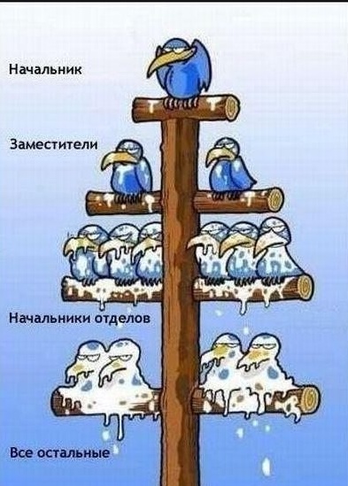 Картинки с сети