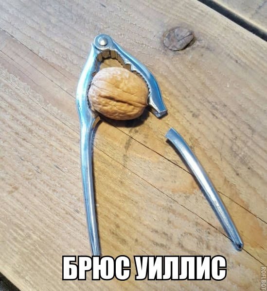 Всячина. Картинки и тексты картинками