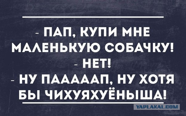 20 Смешных пикч