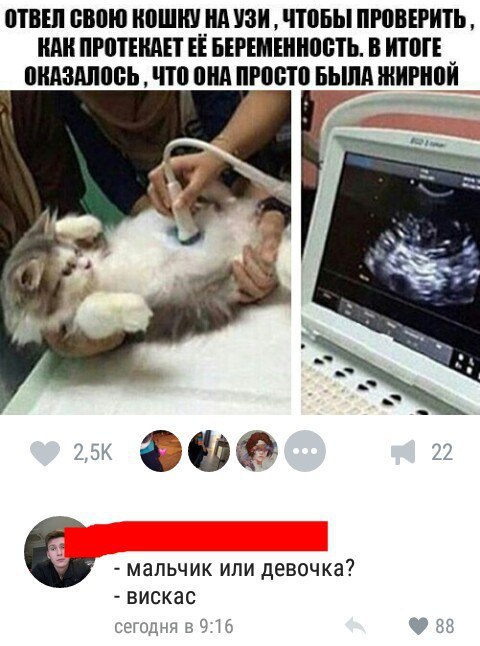 Ужасы и приколы из соцсетей 18+