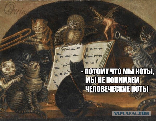 Деградировать подано, дамы и господа!