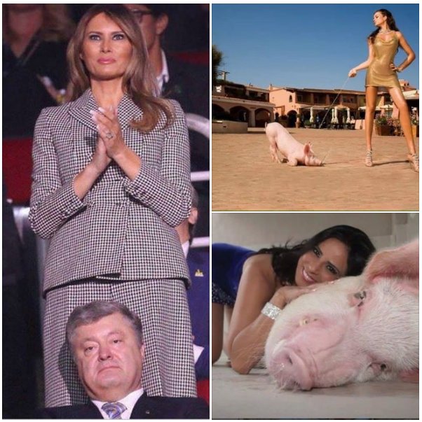 Воины укропы
