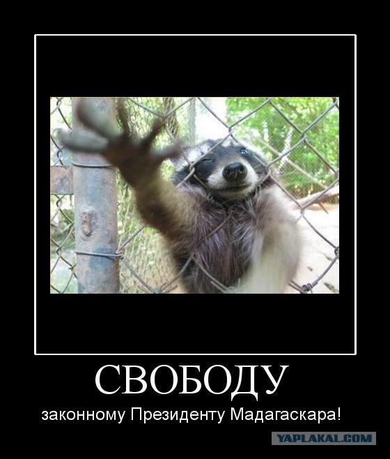 Как я договорился до 282.1