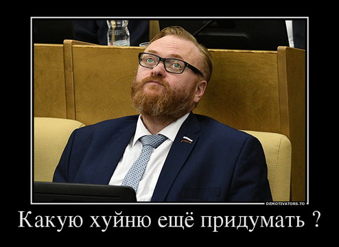 Милонов предлагает обязать устанавливать в магазинах манекены неидеальных размеров