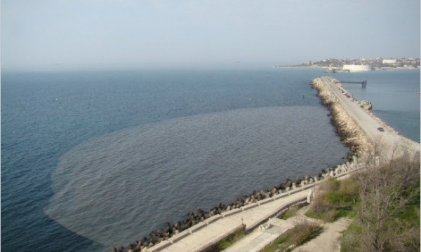 Машины с обычными двигателями не будут пускать на российские курорты