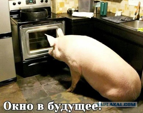 С помощью водки уговорили