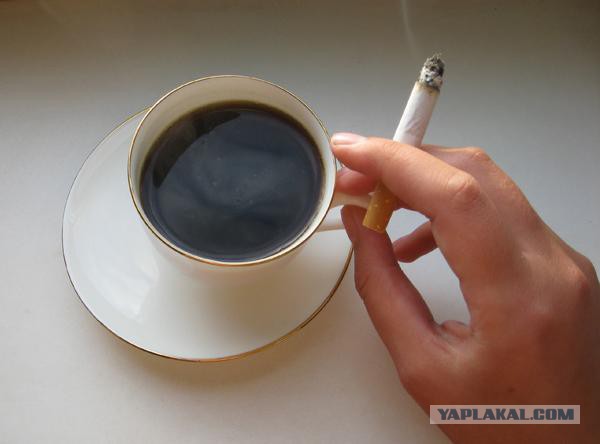 А как начался твой день?