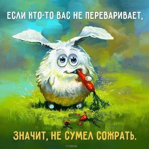 Нестандартный юмор