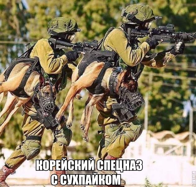 Картинки по-приколу