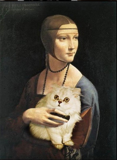 Котовторник: Кошки и ягнёнок