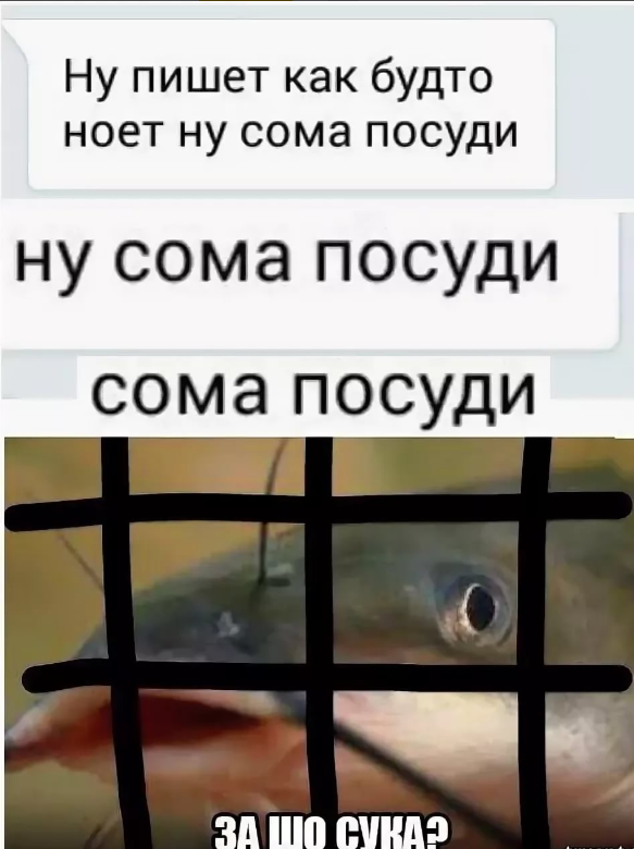 Эра двоечников настала. И они уже не стесняются ничего…
