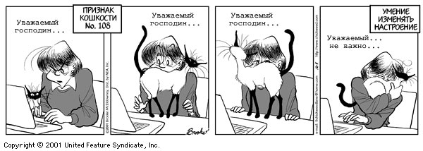 Признаки кошкости
