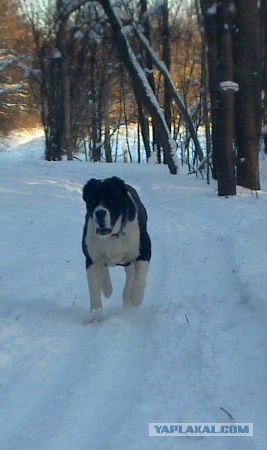 Новые устройства