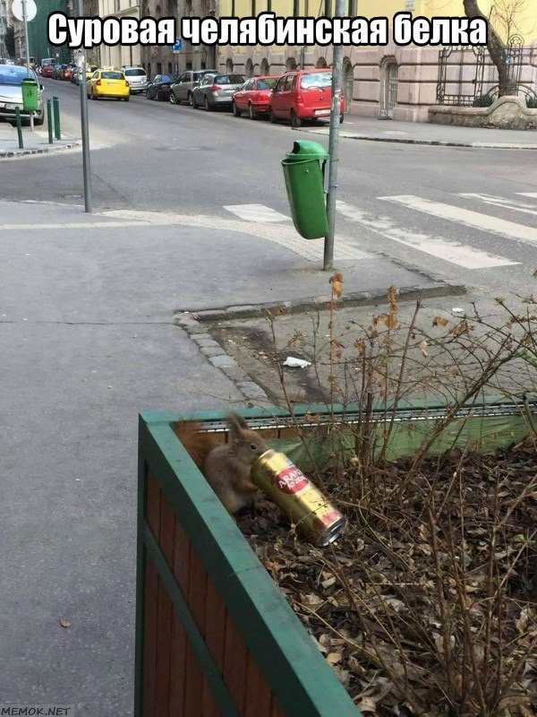 Нестандартный юмор