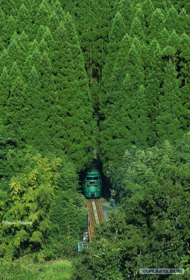 Музыканты Queen оценили исполнение своей песни балалаечником из Перми