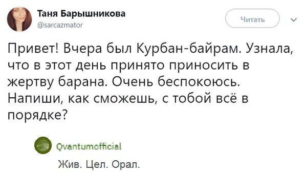 Прикольные комментарии и высказывания из Сети