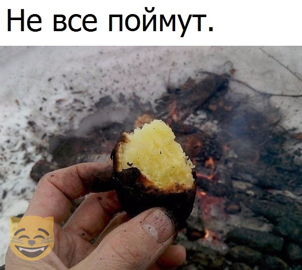 Забавные шутки, картинки и фразы из этих ваших интернетов