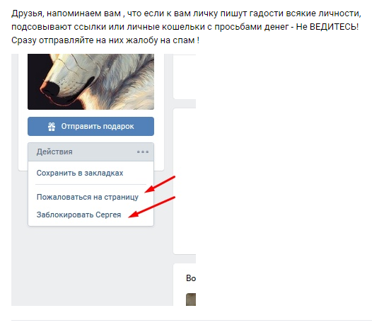 Помогите вернуть кота! Приют "Преданное сердце" украл кота и не отдает!-2