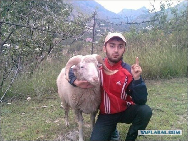 Срамота!