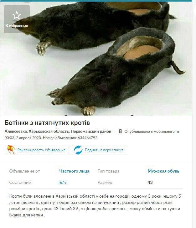 Драка кротов
