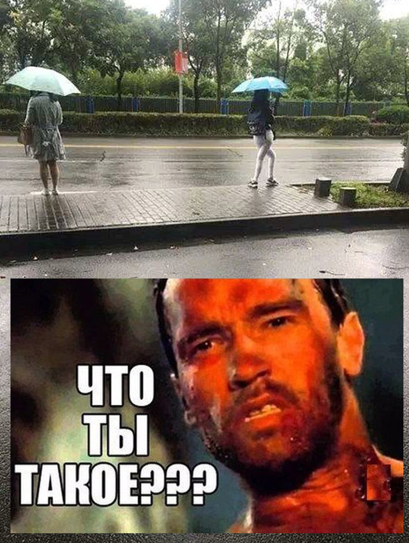 Так себе картинки 10.06.20