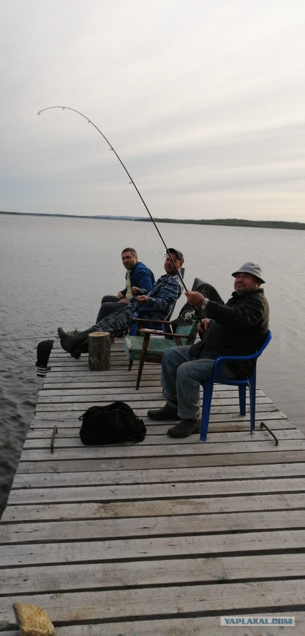 Рыбалка Софпорог Карелия 2020
