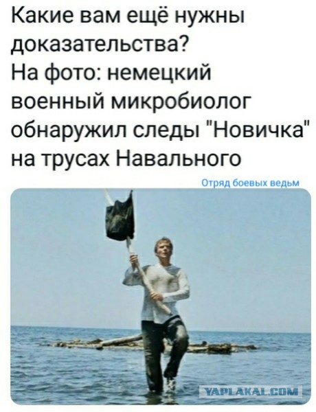 Правительство Германии: Навальный был отравлен ядом, схожим с «Новичком»