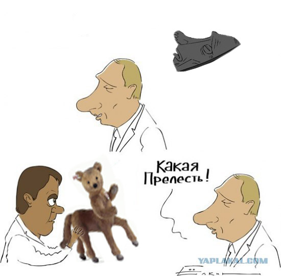 Фотожаба:Неведома зверюшка