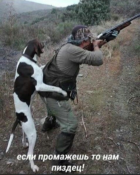 Дурацкие картинки