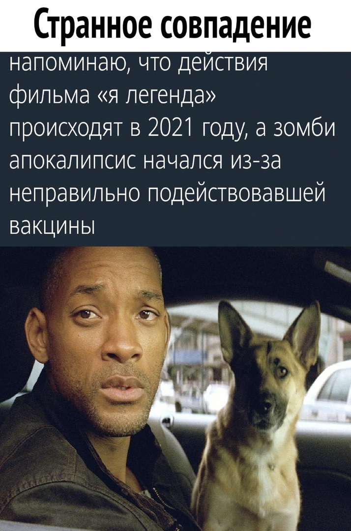 15134782.jpg