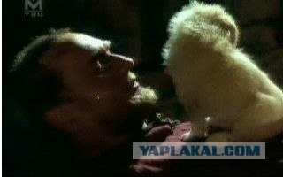 Кинокадры