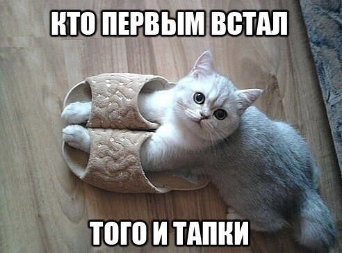 Так себе картинки 11.07.21