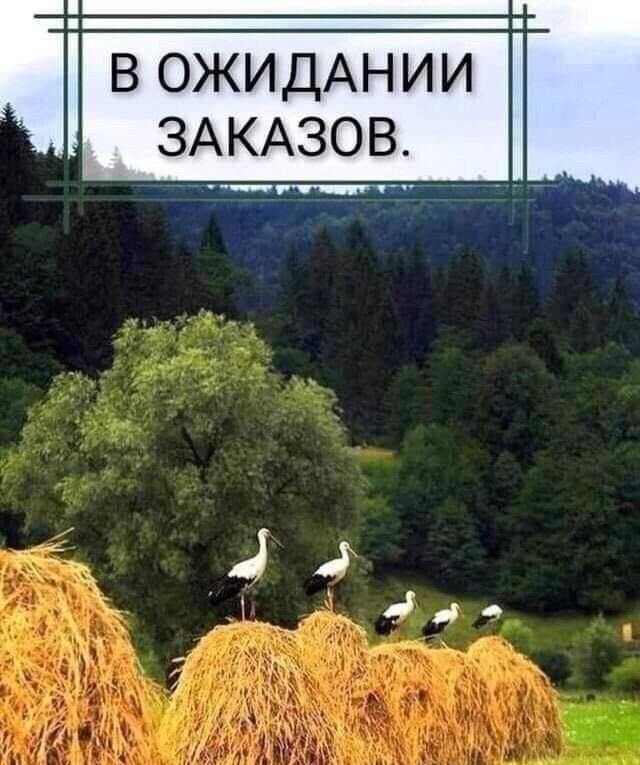 Так себе картинки 18.09.21