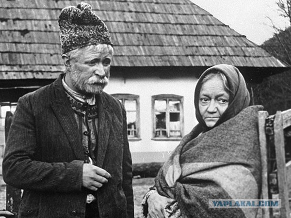 «Хочу сыграть дерево»- Евгений Лебедев