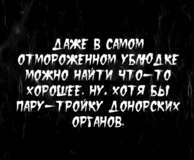 Бизнес план нищебродам
