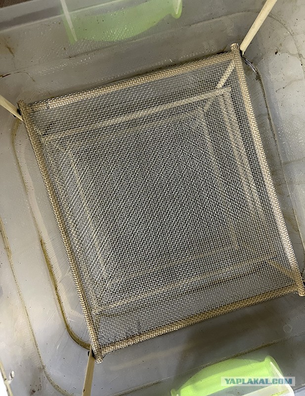 Солатеговая тема